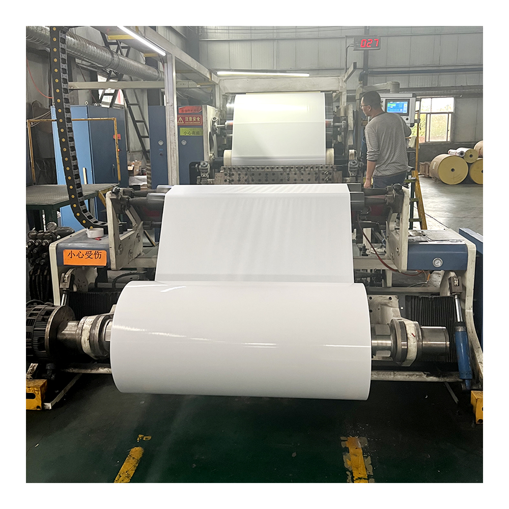 Blank Label Jumbo Roll